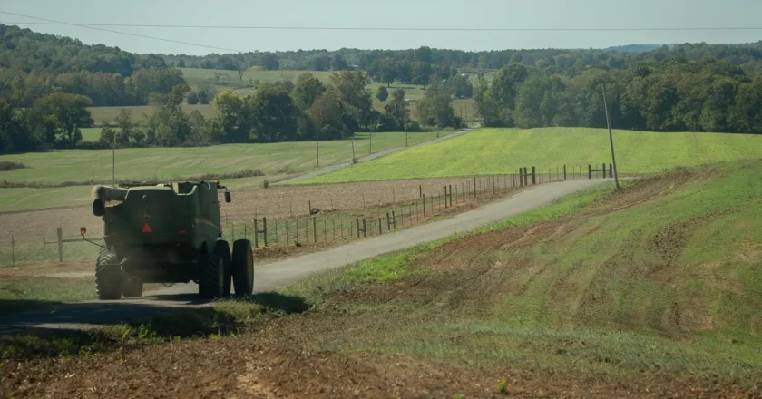 Trump Pronounces $12 Billion Assist Bundle For Farmers—Right here’s What We Know